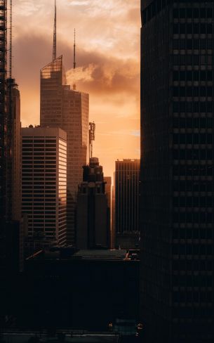 evening city, buildings Wallpaper 800x1280