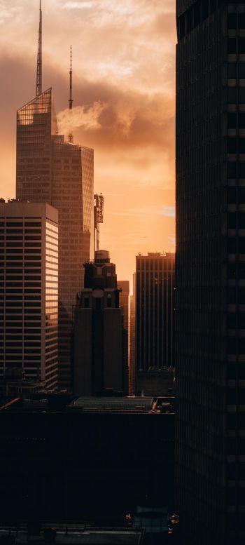 evening city, buildings Wallpaper 1440x3200