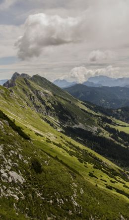 slope, valley, forest Wallpaper 600x1024