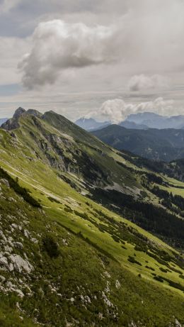 slope, valley, forest Wallpaper 640x1136