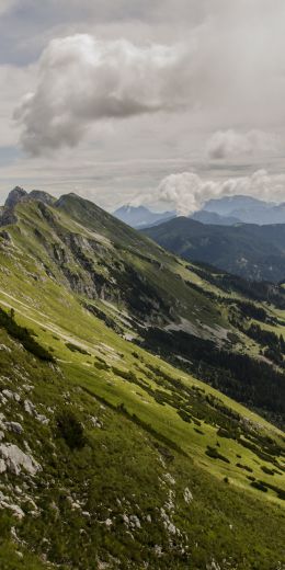 slope, valley, forest Wallpaper 720x1440