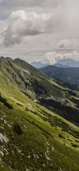 slope, valley, forest Wallpaper 1284x2778