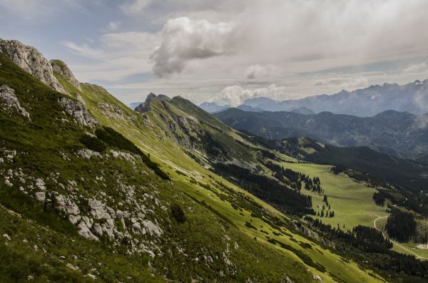 slope, valley, forest Wallpaper 4928x3264