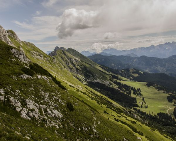 slope, valley, forest Wallpaper 1280x1024