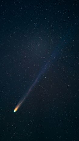 comet, starry sky, night Wallpaper 2160x3840