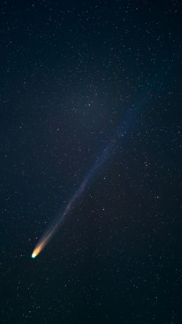 comet, starry sky, night Wallpaper 1440x2560