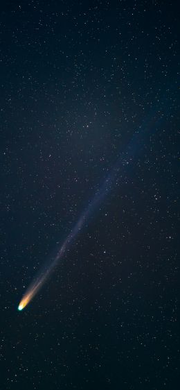 comet, starry sky, night Wallpaper 1284x2778