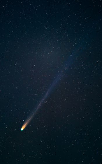 Обои 1600x2560 комета, звездное небо, ночь