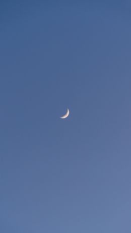Обои 750x1334 месяц, голубое небо