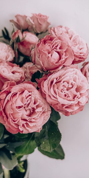 pink roses, rose bouquet, roses Wallpaper 720x1440