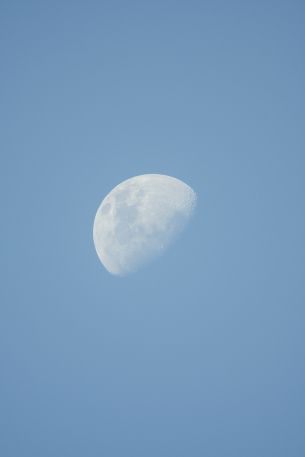 moon, sky Wallpaper 5142x7713