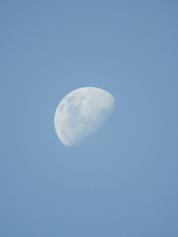 moon, sky Wallpaper 2048x2732