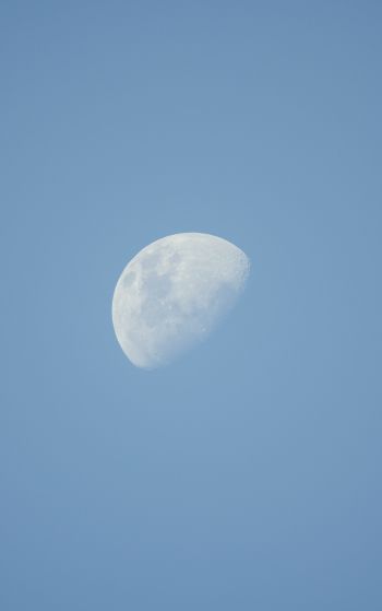 moon, sky Wallpaper 1752x2800