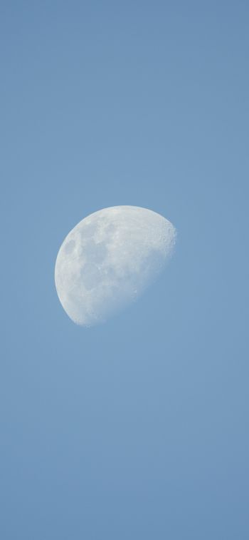 moon, sky Wallpaper 1284x2778