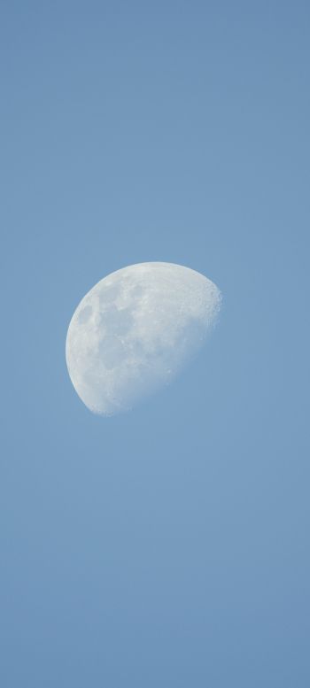 moon, sky Wallpaper 1440x3200