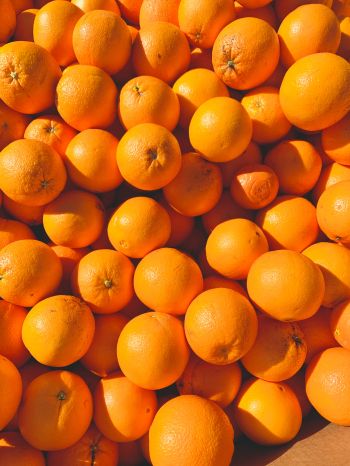 Обои 1668x2224 апельсины, цитрусовые