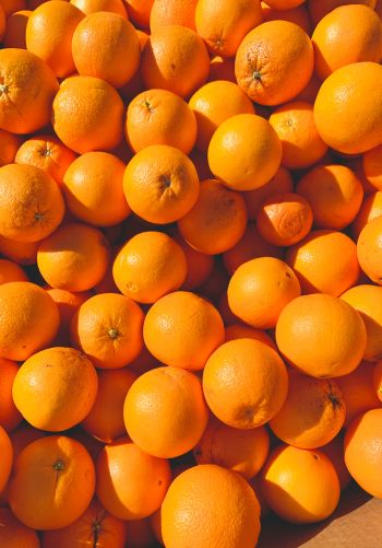 Обои 1668x2388 апельсины, цитрусовые