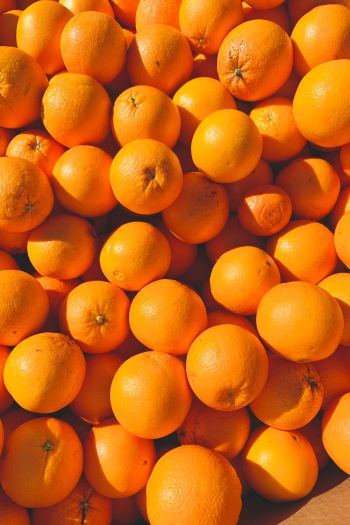 Обои 640x960 апельсины, цитрусовые