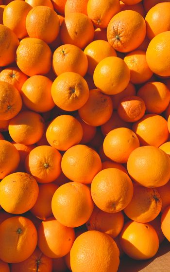 Обои 1752x2800 апельсины, цитрусовые