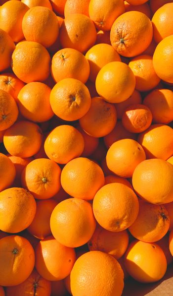 oranges, citrus Wallpaper 600x1024