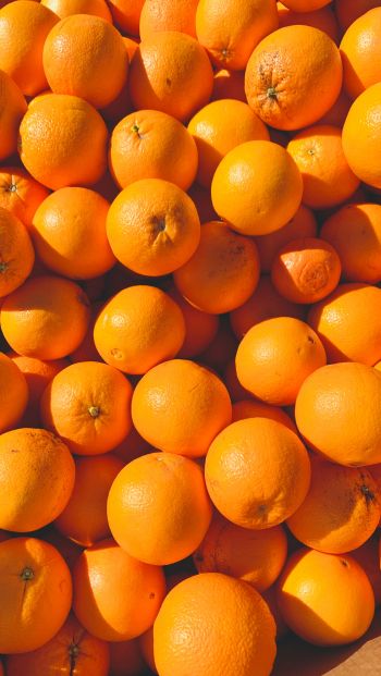 Обои 640x1136 апельсины, цитрусовые