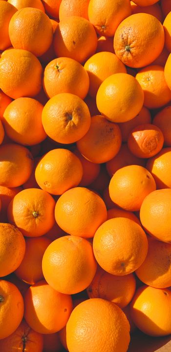 Обои 1440x2960 апельсины, цитрусовые