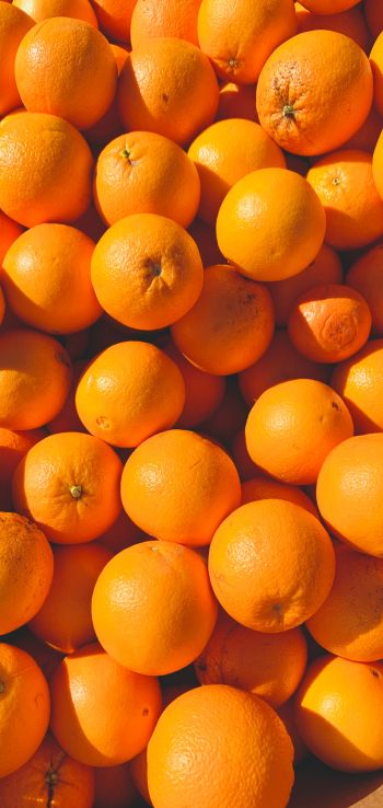Обои 1080x2280 апельсины, цитрусовые