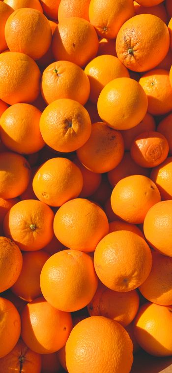 Обои 1125x2436 апельсины, цитрусовые