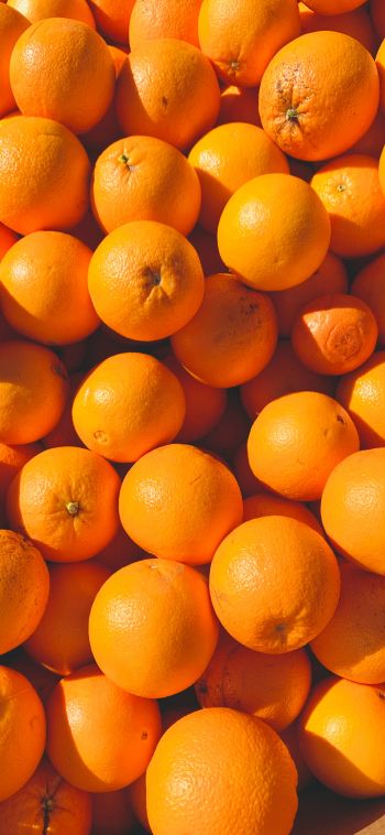 oranges, citrus Wallpaper 1080x2340