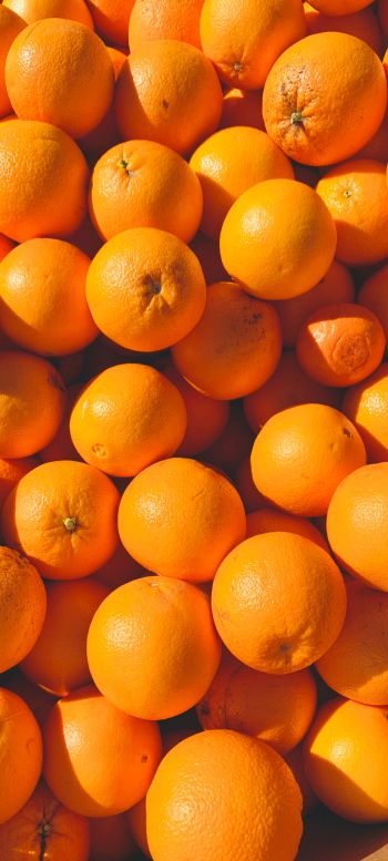 oranges, citrus Wallpaper 1440x3200