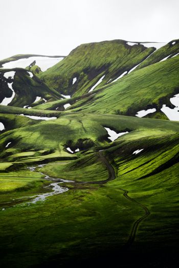 Iceland, hills, green Wallpaper 640x960