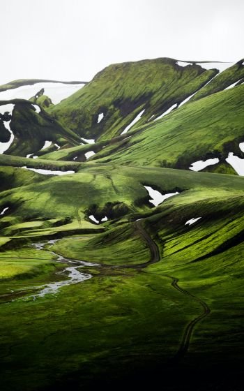 Iceland, hills, green Wallpaper 800x1280