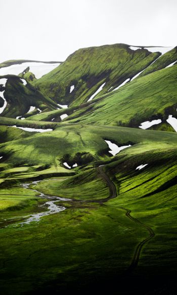 Обои 1200x2000 Исландия, холмы, зеленый