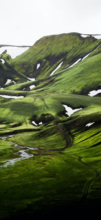 Iceland, hills, green Wallpaper 1125x2436