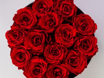 red roses, bouquet of roses, roses Wallpaper 1024x768