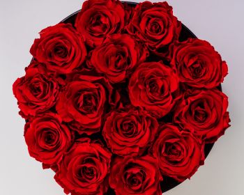 Обои 1280x1024 красные розы, букет роз, розы