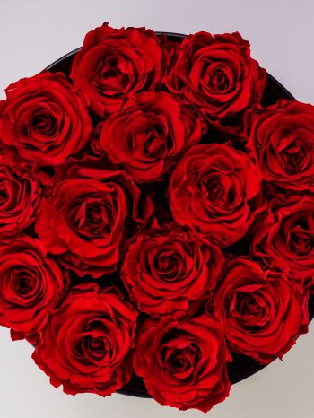 Обои 2048x2732 красные розы, букет роз, розы
