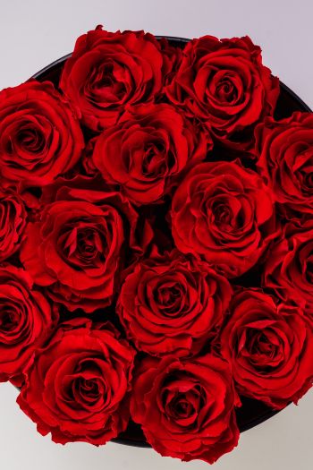 Обои 640x960 красные розы, букет роз, розы