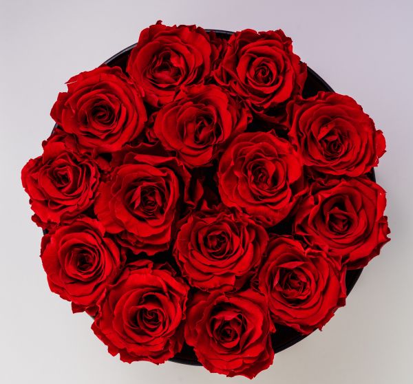 red roses, bouquet of roses, roses Wallpaper 4133x3850