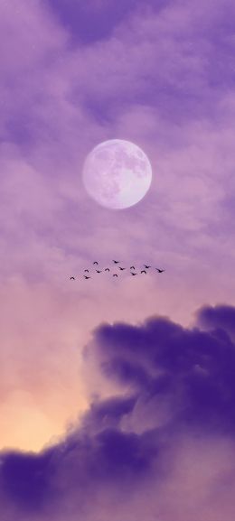 Обои 1080x2400 луна, облака, птицы