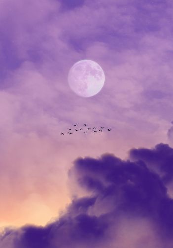 moon, clouds, birds Wallpaper 1668x2388