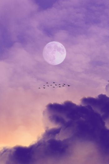 moon, clouds, birds Wallpaper 640x960