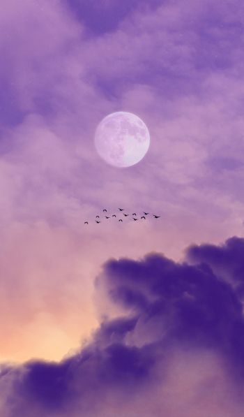 moon, clouds, birds Wallpaper 600x1024