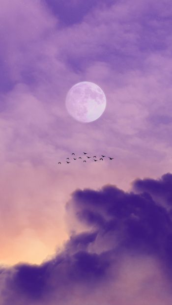 Обои 640x1136 луна, облака, птицы