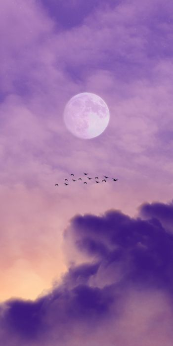 moon, clouds, birds Wallpaper 720x1440