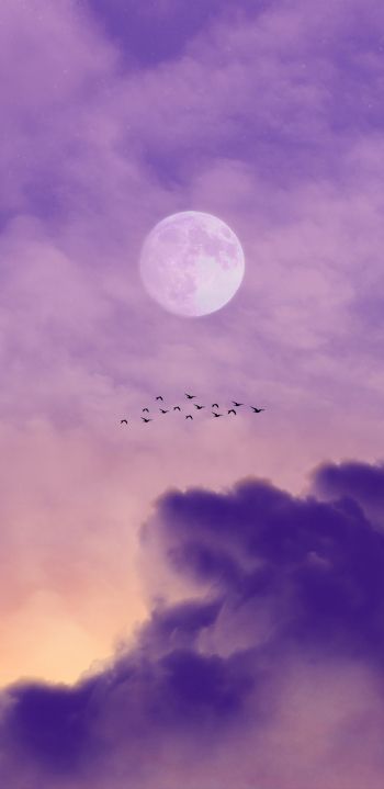 moon, clouds, birds Wallpaper 1440x2960