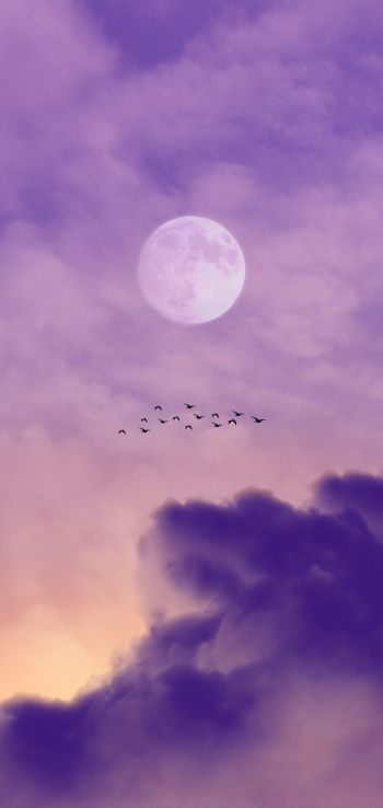 Обои 1080x2280 луна, облака, птицы