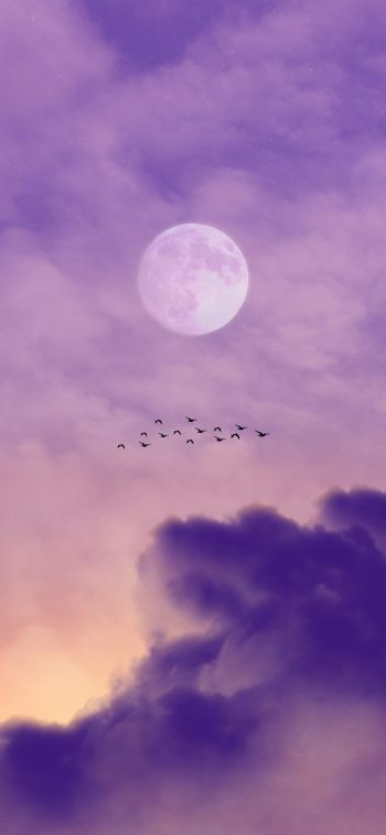 moon, clouds, birds Wallpaper 1080x2340