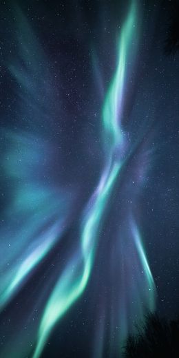 northern lights, starry night Wallpaper 720x1440