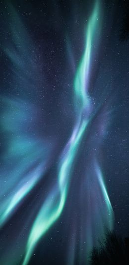 northern lights, starry night Wallpaper 1080x2220